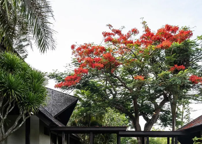 Villa Luxury - Dragonfly *